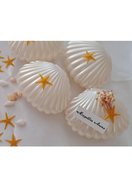 Deniz Yıldızlı Kabuklu Istiridye Mum, 10 Adet Istiridye Mum, Söz,nişan,doğum Günü Hatıra Hediyeliği