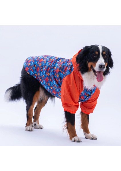 Amsterdam Fall Polarlı Su Geçirmez Orta-Büyük Irk Köpek Yağmurluğu