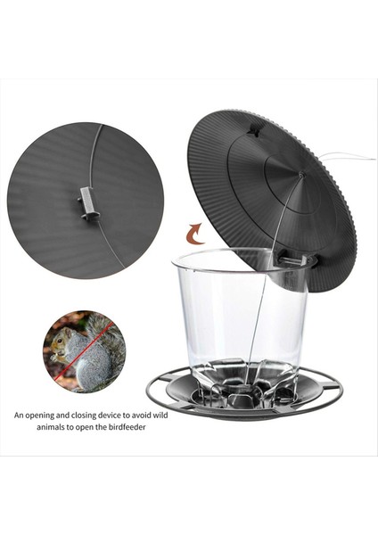 Kuş Besleyiciler Açık havada asılı Sincap Kanıtı Kolay Temiz ve Doldur Ayarlanabilir Besleyici Çoklu Delik Dağıtıcı Tutucu Gıda C (Yurt Dışından)