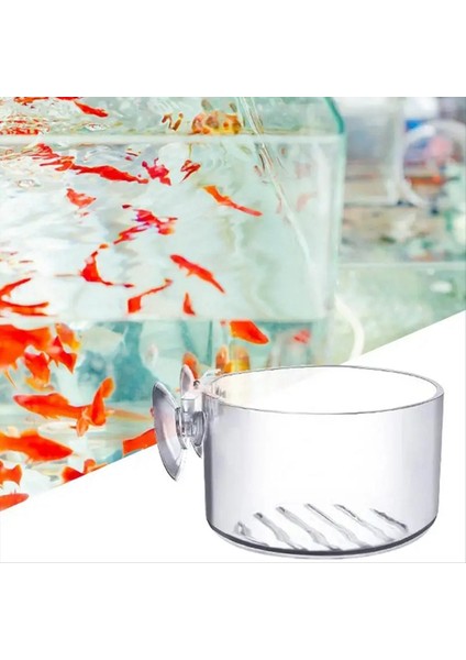 16pcs su bitki fincanları, şeffaf akrilik su bitki potu emişli, akvaryum dekorasyonu 2 şekil (Yurt Dışından)