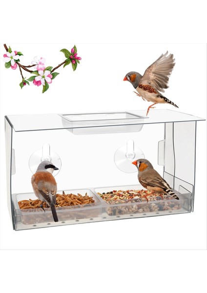 Pencere kuş besleyici. İzlerken kuşlar rahatsız edilmeden beslenir. Güçlü vantuzlara sahip yenilikçi pencere kuş besleyicileri (Yurt Dışından)