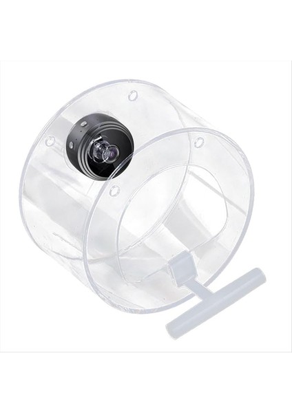 Kameralı akıllı kuş besleyici, kuş gözlemci kamera kablosuz olarak kuş videosu ve hareket algılama (Yurt Dışından)