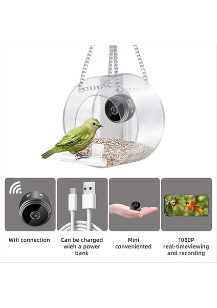 Kameralı akıllı kuş besleyici, kuş gözlemci kamera kablosuz olarak kuş videosu ve hareket algılama (Yurt Dışından)