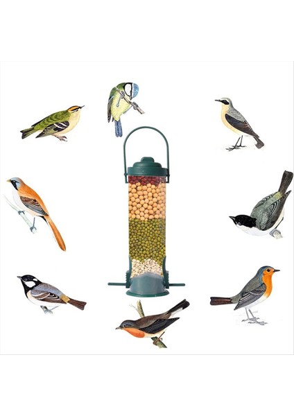 Ağırlık Aktif Dönen Levrek - Tohum Kapasitesi ile Kanıt Vahşi Kuş Besleyici (Yurt Dışından)