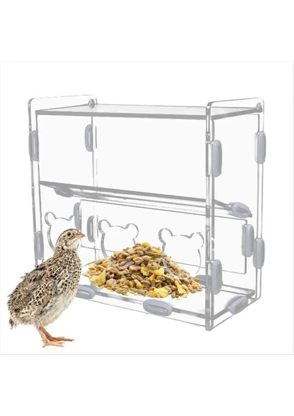 Papaz Besleyici Kutusu Akrilik Besleme Konteyneri No-Sess Çoklu Çizgi Kutusu Açık Kuş Yemek Dispenser Kutusu Finches Papağanlar (Yurt Dışından)