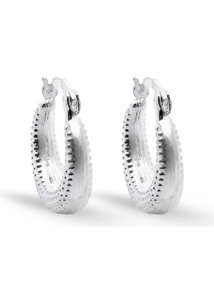 Nokta Desenli Halka Croissant Kadın Gümüş Küpe 1.6x1.9cm fiyatları