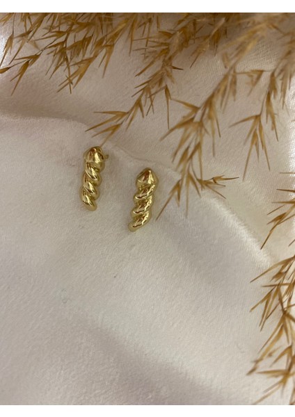 Mini Burgu Xupıng Çelik Küpe