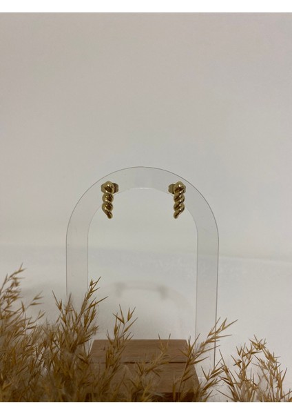 Mini Burgu Xupıng Çelik Küpe modelleri