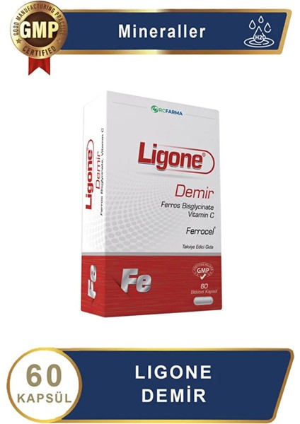 Asfstore Ligone Demir 60 Kapsül