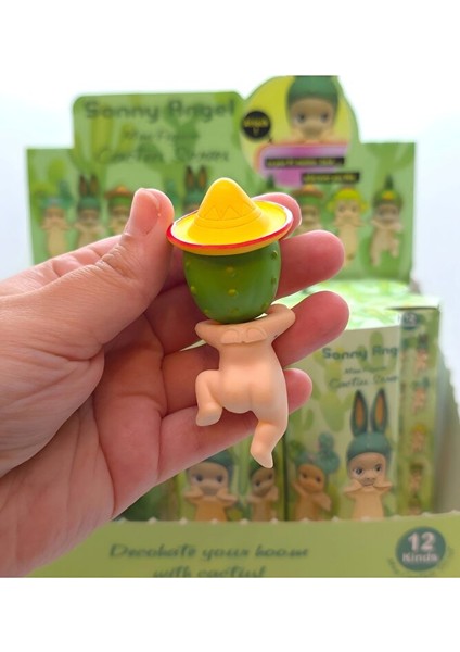 Sonny Angel Hipper Kaktüs (Cactus) Serisi Dekoratif Mini Figür (Tek Adet) modelleri