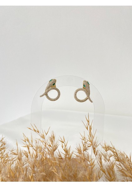 Yılan Figür Xupıng Çelik Küpe modelleri