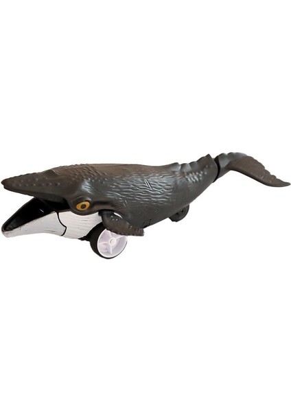 H-35 16LI DISPLAYDE SÜRTMELİ SU ALTI DÜNYASI