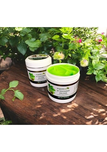 Organicsun At Kestanesi Balsamı Jeli 500 ml x 3 Adet Kas ve Eklem Besleyici Masaj Kremi modelleri