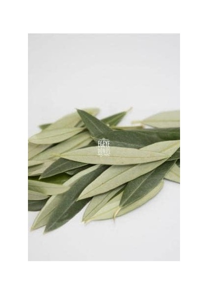 Egeye Dönüş Zeytin Yaprağı Çayı - 50 Gr.