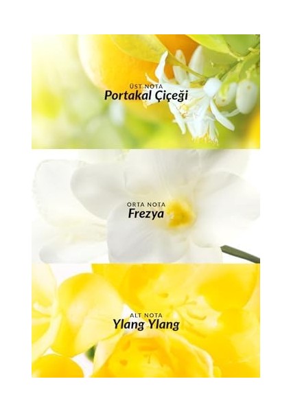 Avon Tta Today Kadın Nemlendirici Vücut Losyonu 125 Ml.