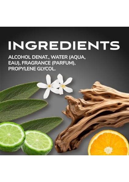 Parfums De Coeur Vücut Spreyi Bodman Black 100ML fiyatları