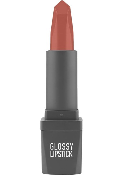 Alıx Avıen Uzun Süre Kalıcı Yoğun Renk Veren Nemlendirici Parlak Ruj - Glossy Lipstick 308 Terracotta Nude modelleri