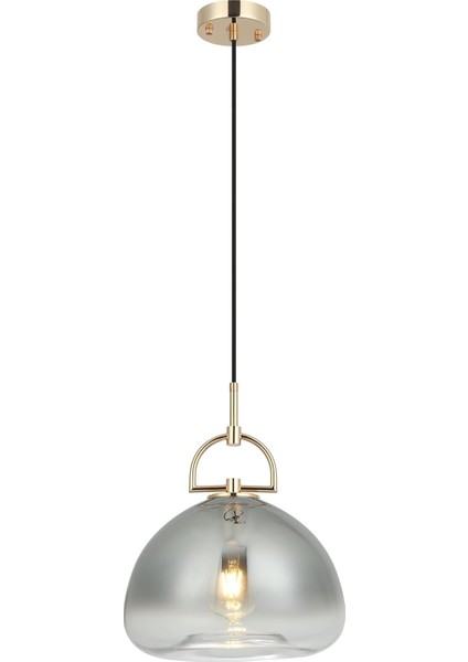 Raposa 01 Teklı 1XE27