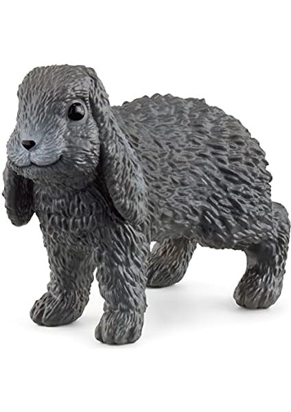 Sarkık Kulaklı Tavşan fiyatları