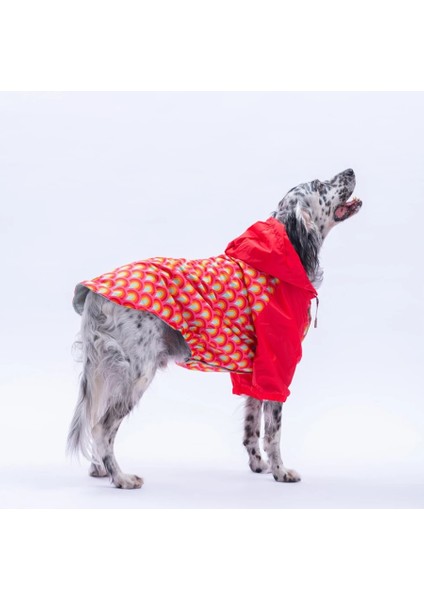 Lisbon Sunset Polarlı Su Geçirmez Orta-Büyük Irk Köpek Yağmurluğu