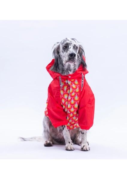 Lisbon Sunset Polarlı Su Geçirmez Orta-Büyük Irk Köpek Yağmurluğu modelleri