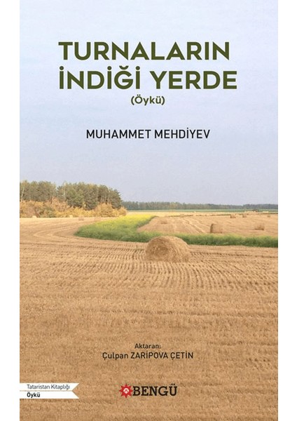 Turnaların Indiği Yerde