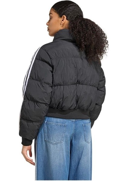 Originals JX2970 Adicolor Cropped Synthetic Down Puffer