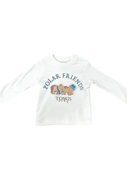 Ice Bears 3 Lü Takım modelleri