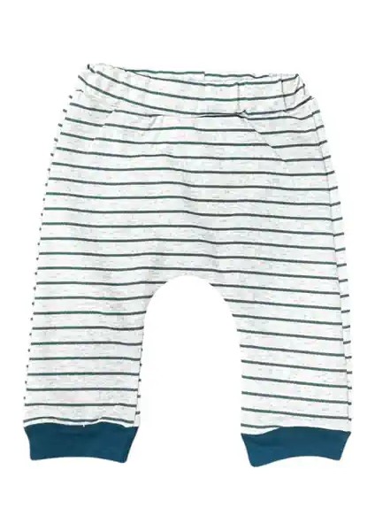 Ice Bears 3 Lü Takım fırsatları