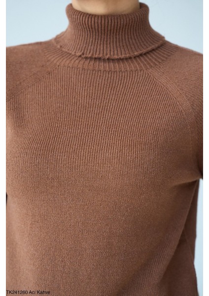 Kadın Tam Balıkçıl Yaka Basıc Düz Triko Kazak fiyatları