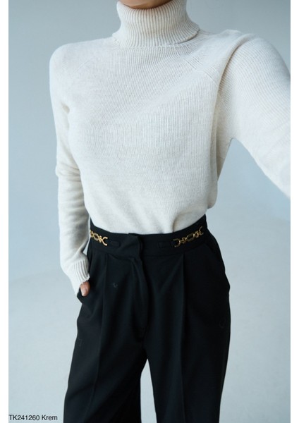 Kadın Tam Balıkçıl Yaka Basıc Düz Triko Kazak fiyatları