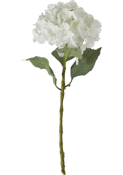 Concept Ortanca Çiçek Beyaz 54CM