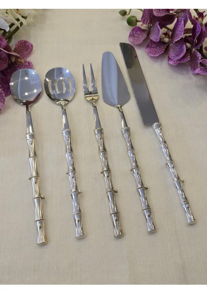 Bambu 5 Parça Servis Kaşık Seti Gümüş fiyatları