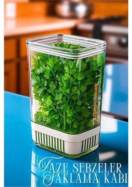 Modacar Yeşillik Saklama Kabı - Taze Yeşillik Için - Soğan Maydanoz Vb Yeşillik Saklama fiyatları