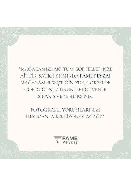 3lü Lotus Çiçeği Dekoratif Tabak & Kase, Hediyelik, Takı ve Mum Tabağı, Mumluk, Sunumluk, Organizer