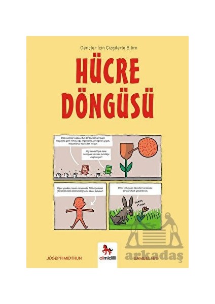 Hücre Döngüsü - Gençler Için Çizgilerle Bilim