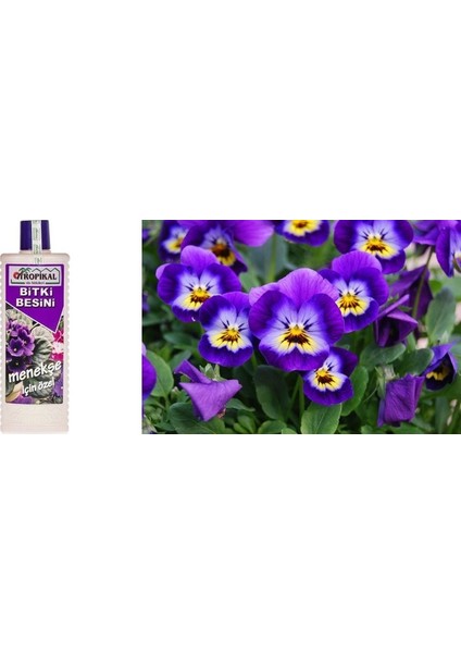 TROPİKAL BİTKİ BESİNİ - MENEKŞE İÇİN ÖZEL 1000 ML modelleri