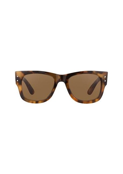 DK4314COL06 Kadın Güneş Gözlüğü