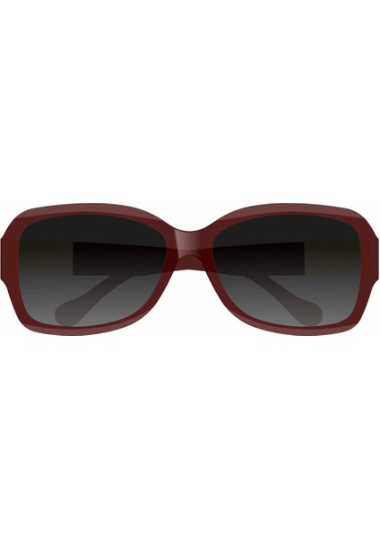 DK4311ACOL03 Kadın Güneş Gözlüğü