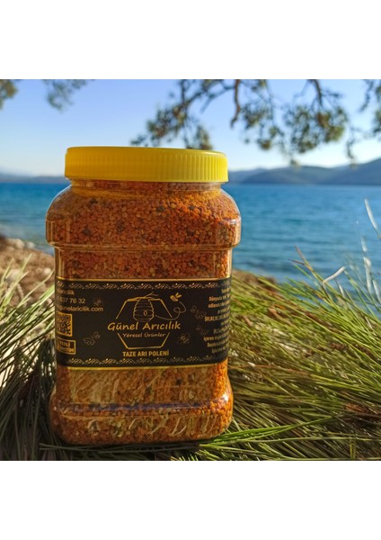 Yaş Arı Poleni 1 kg