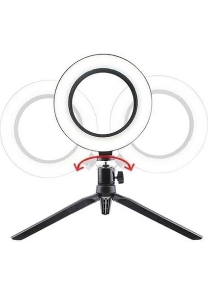 8inç 20CM Youtube Instagram Tiktok Selfie Stüdyo Video Fotoğraf Ring Light Tripod LED Halk fırsatları