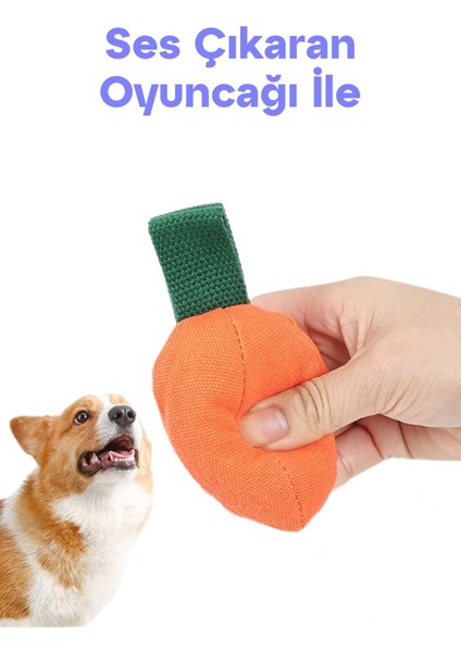 Köpek Aktivite Topu | Mama Saklama ve Çiğneme Oyuncağı - Doğal Kauçuk