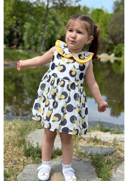 Kız Bebek Elbise Kız Çocuk Elbise Doğum Günü Parti Düğün Elbise Dantelli Kısa Kol astarlı elbise fiyatları