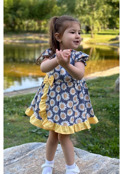 Kız Bebek Elbise Kız Çocuk Elbise Doğum Günü Parti Düğün Elbise Dantelli Kısa Kol astarlı elbise fiyatları