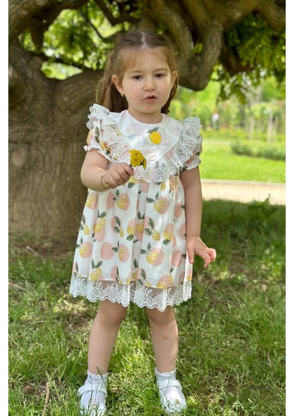 Kız Bebek Elbise Kız Çocuk Elbise Doğum Günü Parti Düğün Elbise Dantelli Kısa Kol astarlı elbise