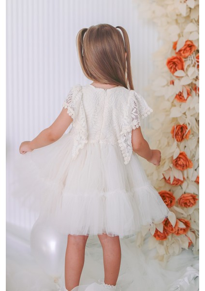 Kız Bebek Elbise Kız Çocuk Elbise Doğum Günü Parti Düğün Elbise Dantelli Kısa Kol astarlı elbise fırsatları