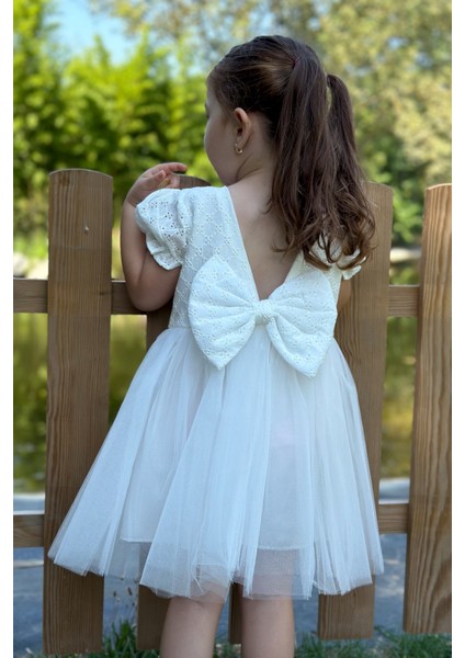 Kız Bebek Elbise Kız Çocuk Elbise Doğum Günü Parti Düğün Elbise Dantelli Kısa Kol astarlı elbise fiyatları