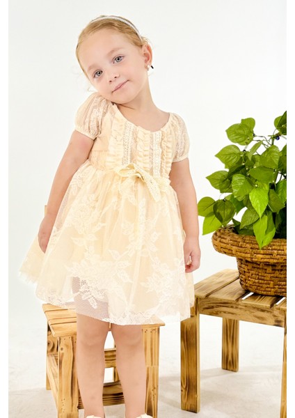 Kız Bebek Kız Çocuk Doğum Günü Parti Düğün Elbise Kısa Kol Dantelli Astarlı Elbise fiyatları
