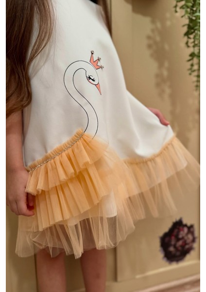 Kız Bebek Kız Çocuk Doğum Günü Parti Düğün Elbise Kolsuz Fırfırlı Tüllü Tütülü Tütü Astarlı fiyatları