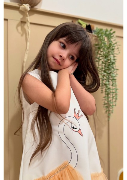 Kız Bebek Kız Çocuk Doğum Günü Parti Düğün Elbise Kolsuz Fırfırlı Tüllü Tütülü Tütü Astarlı modelleri